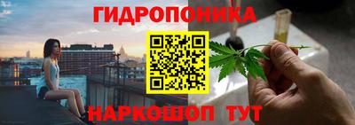 гидропоника Кулебаки